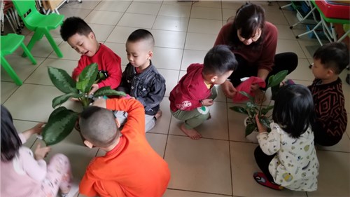 Hoạt động chăm sóc cây xanh của các bé lớp mẫu giáo bé c1